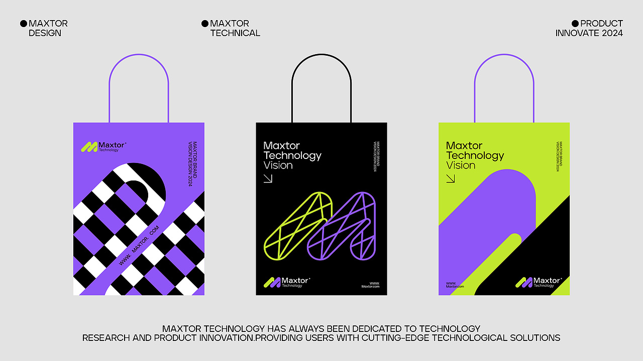 Maxtor迈拓-电子科技品牌