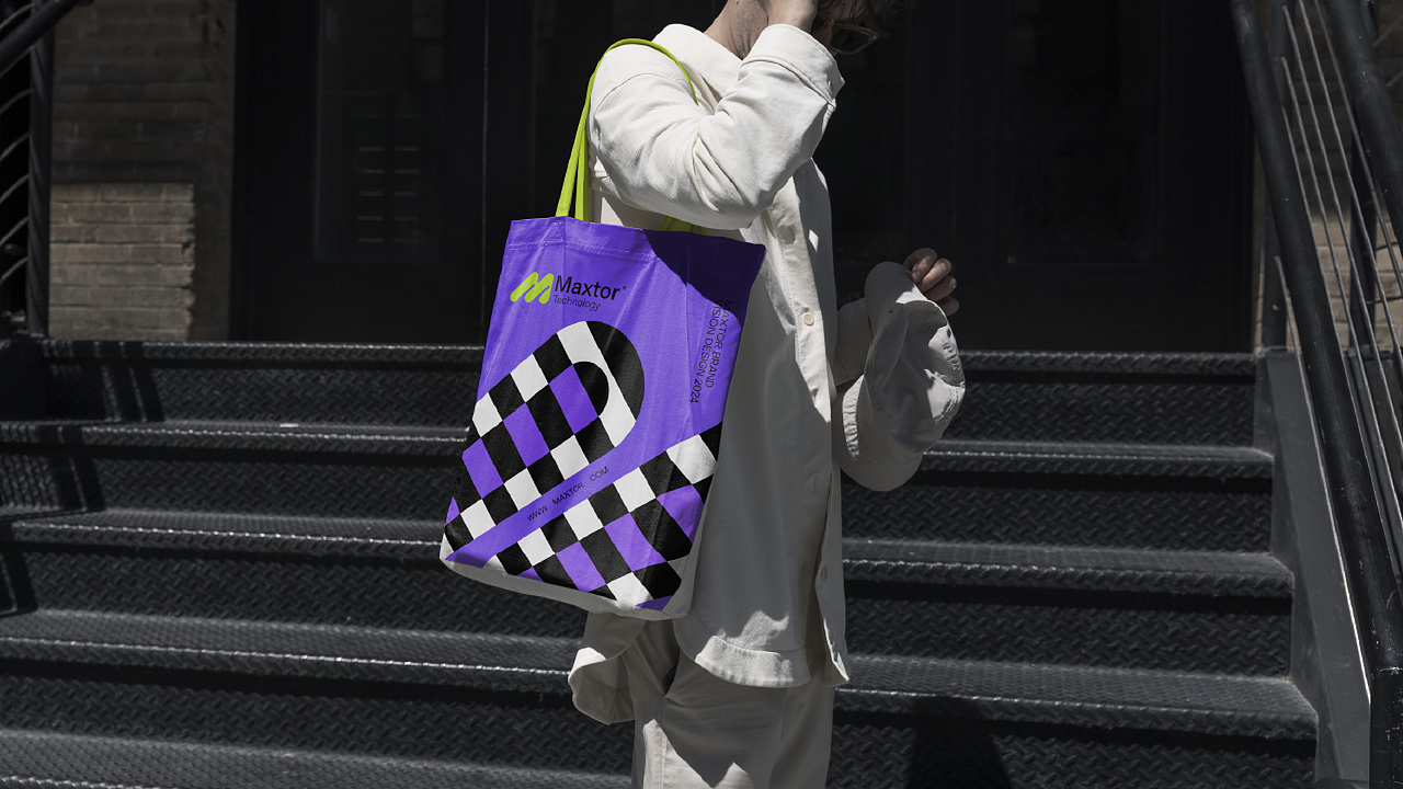 Maxtor迈拓-电子科技品牌