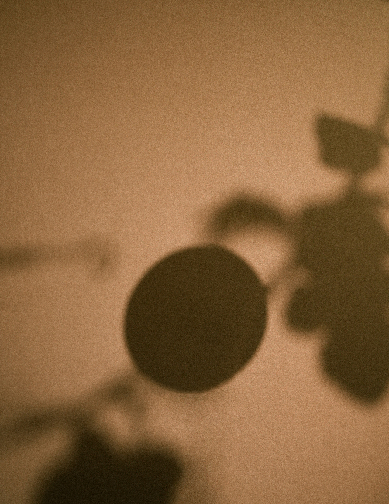 枚瓏蜜瓜飲品海報(bào)拍攝案例（圖ZMzgxMzkwODk2） - 產(chǎn)品攝影 - 站酷設(shè)計(jì)師林澗攝影原創(chuàng)素材 - 站酷ZCOOL