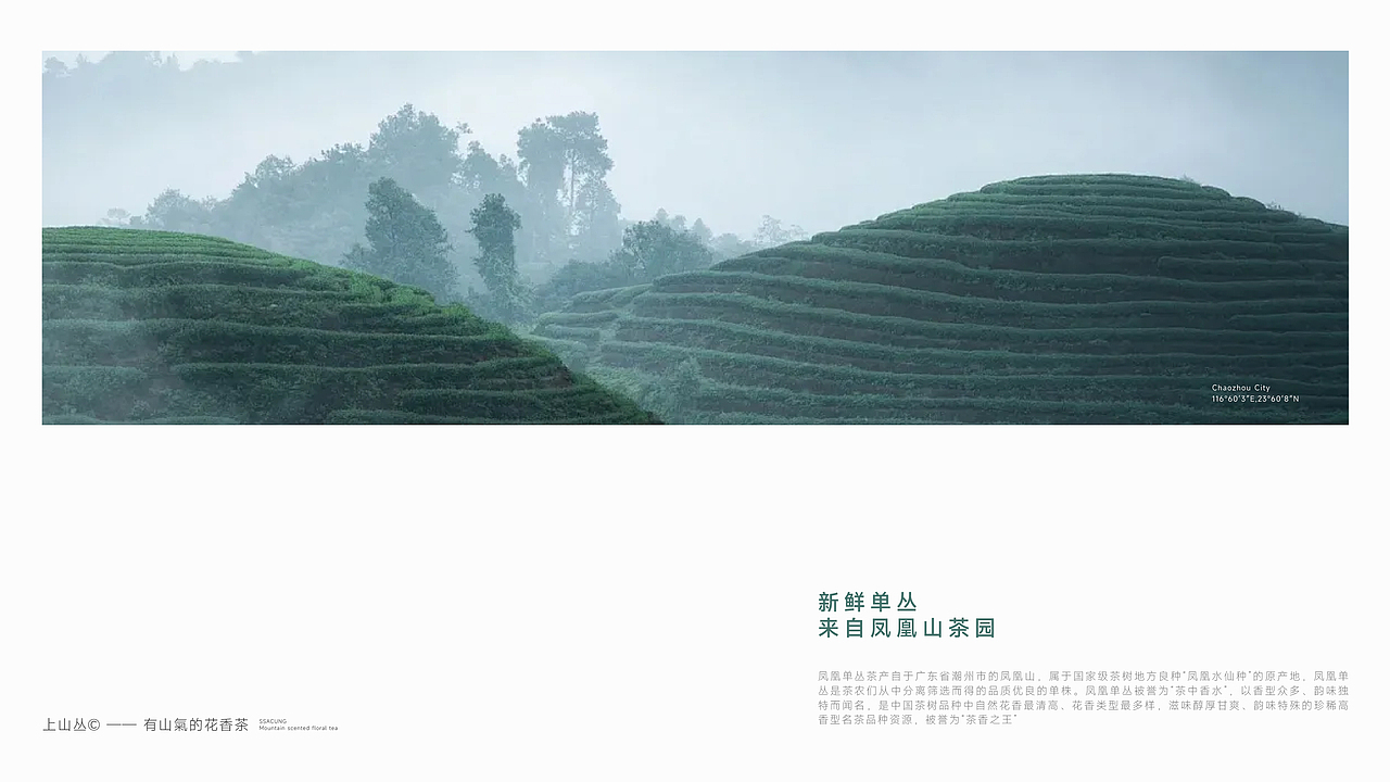 1013｜茶饮品牌版式设计展示（图ZMzgxMzk0NDY0） - 书籍/画册 - 站酷设计师1013BRANDESIGN原创素材 - 站酷ZCOOL