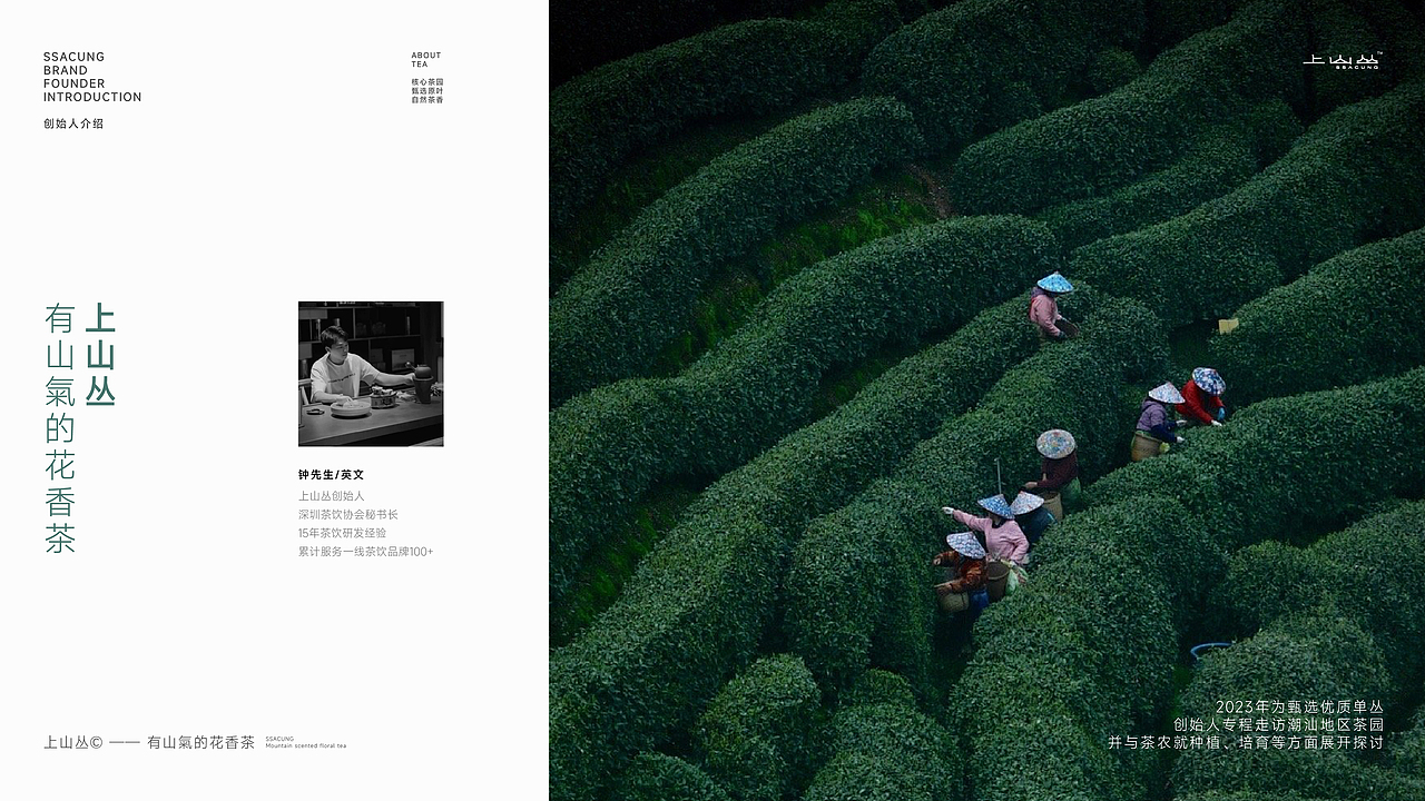 1013｜茶饮品牌版式设计展示（图ZMzgxMzk0NDU2） - 书籍/画册 - 站酷设计师1013BRANDESIGN原创素材 - 站酷ZCOOL