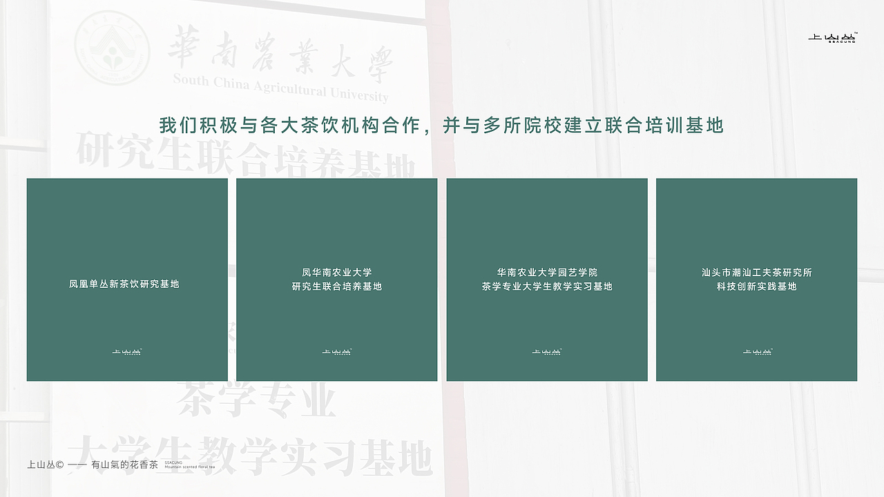 1013｜茶饮品牌版式设计展示（图ZMzgxMzk0NDg4） - 书籍/画册 - 站酷设计师1013BRANDESIGN原创素材 - 站酷ZCOOL