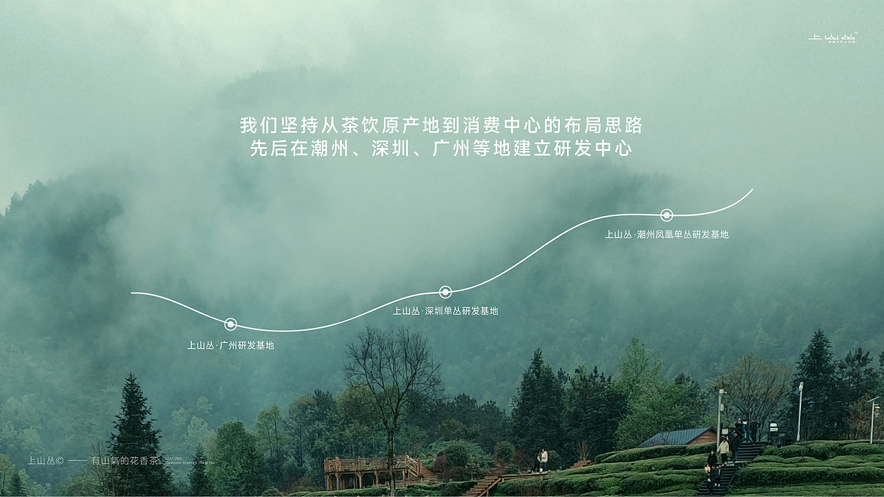 1013｜茶饮品牌版式设计展示（图ZMzgxMzk0NDk2） - 书籍/画册 - 站酷设计师1013BRANDESIGN原创素材 - 站酷ZCOOL