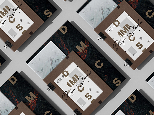 DMCS005 样机设计 VI 名片 信封 海报 折页