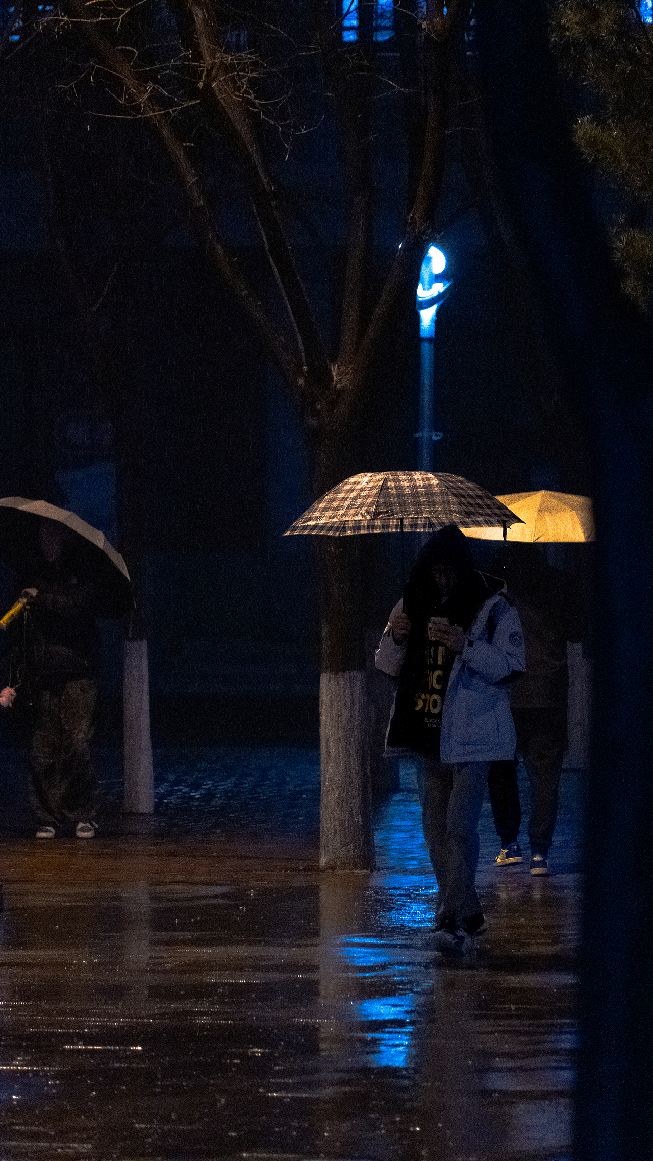 摄影-沈阳（图ZMzgxNDkzNzYw） - 人文/纪实摄影 - 站酷设计师Crow1996原创素材 - 站酷ZCOOL