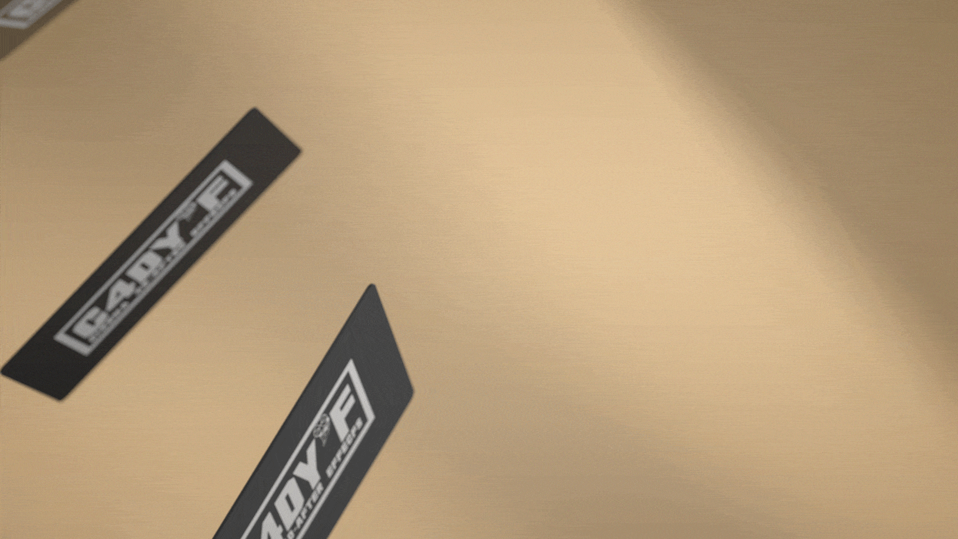 临摹Dicks Sporting Goods - Holiday Spot