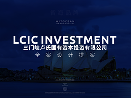 卢氏国投-品牌VI全案