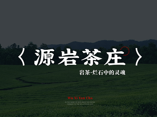 茶叶包装全案设计 | LOGO/字体/岩茶