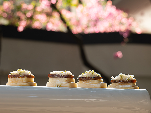 美食拍摄|春暖花开