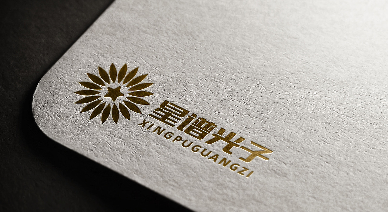 LOGO 照相机仪器表制造生产销售一体 精密仪器类 logo 