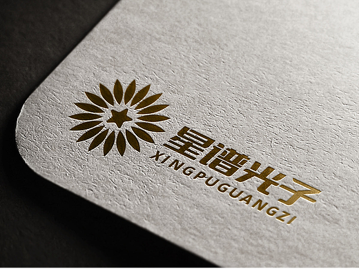LOGO 照相机仪器表制造生产销售一体 精密仪器类 logo 
