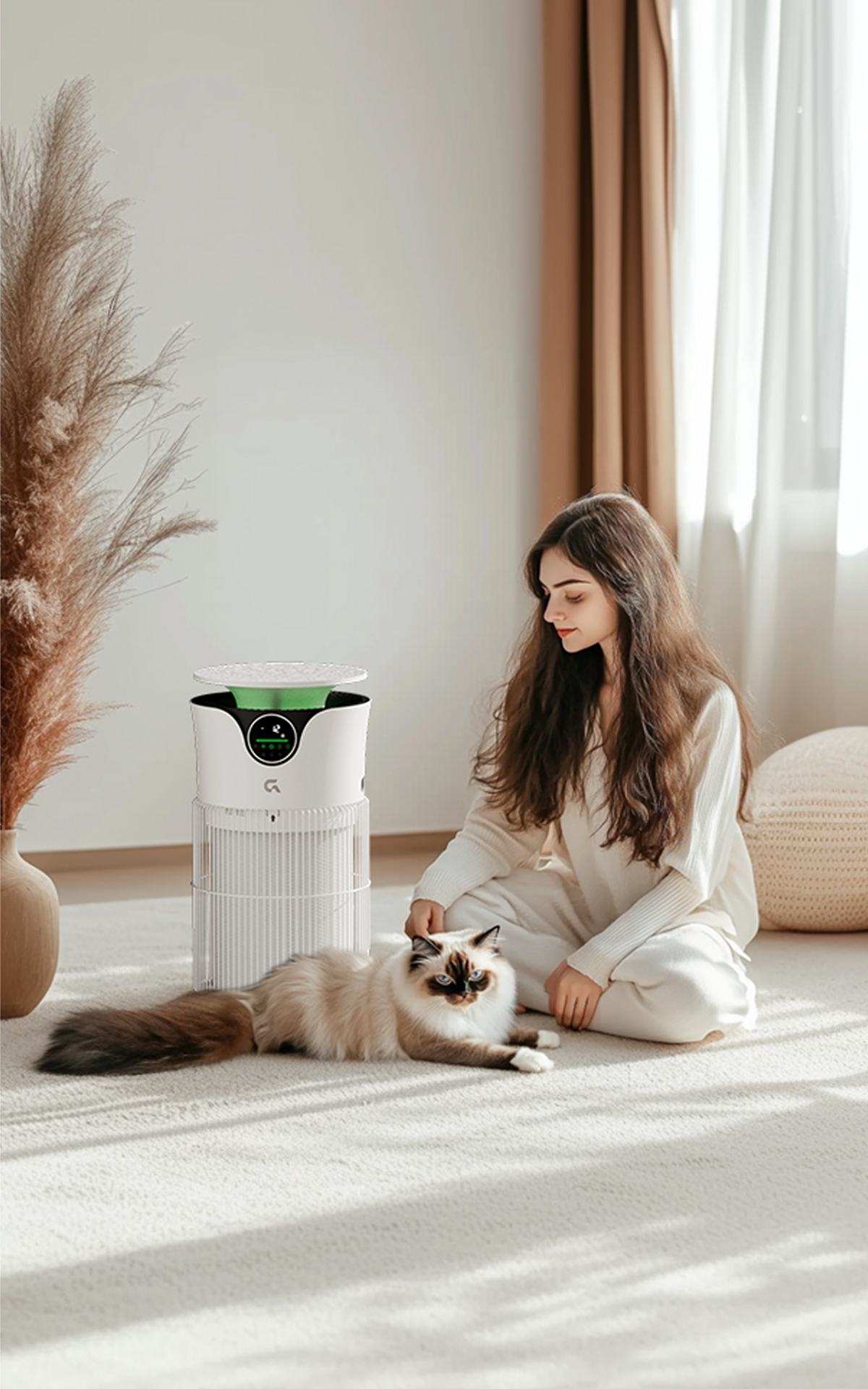 【电商AI图&手绘贴纸】萬物貼士#2024宠物空气净化器#