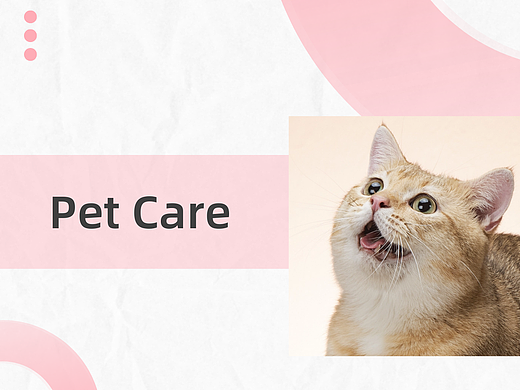 Pet Care
