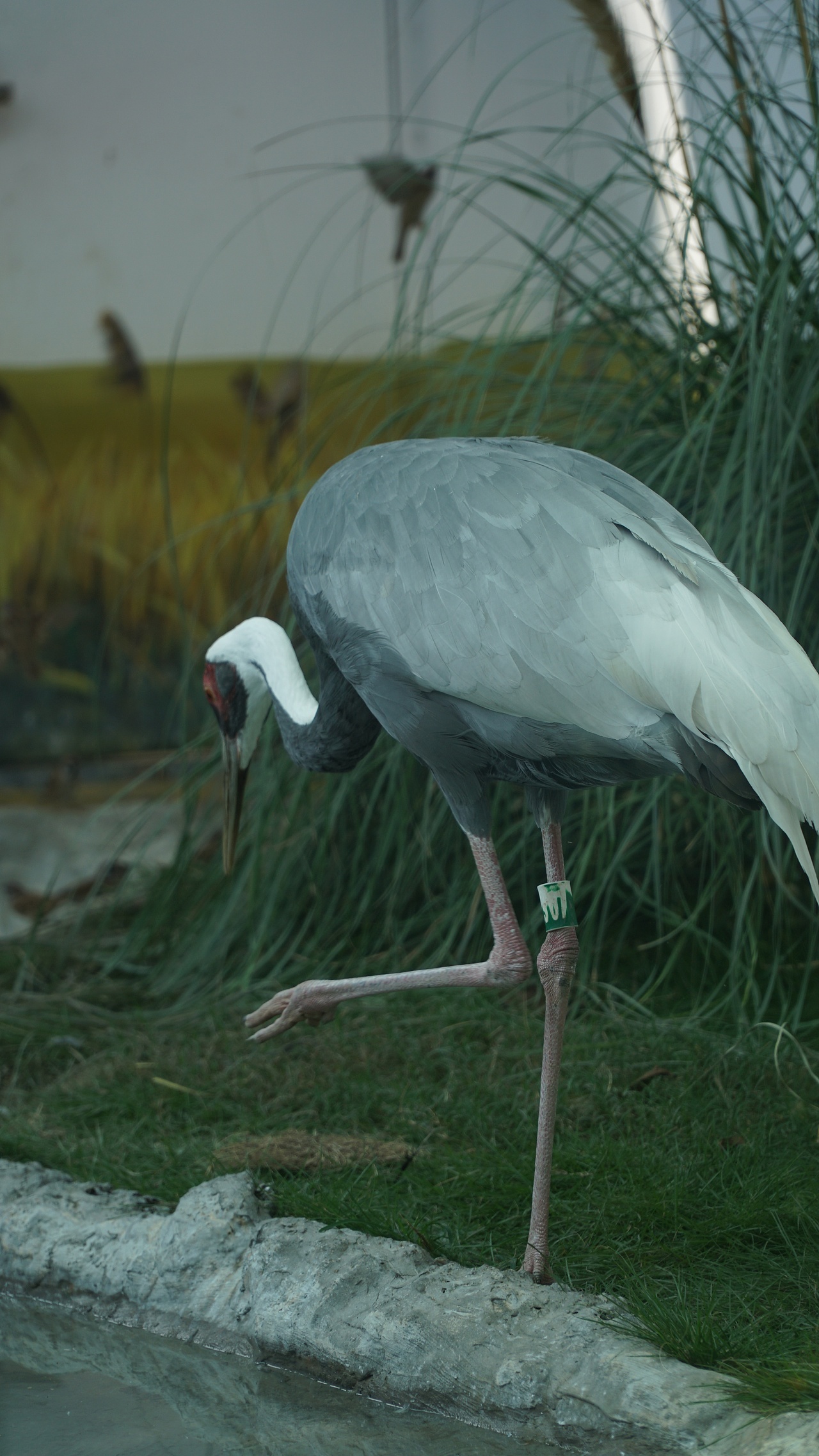 【摄影】可爱的动物们（图ZMzgxNzA3MDM2） - 人文/纪实摄影 - 站酷设计师Z599173693原创素材 - 站酷ZCOOL