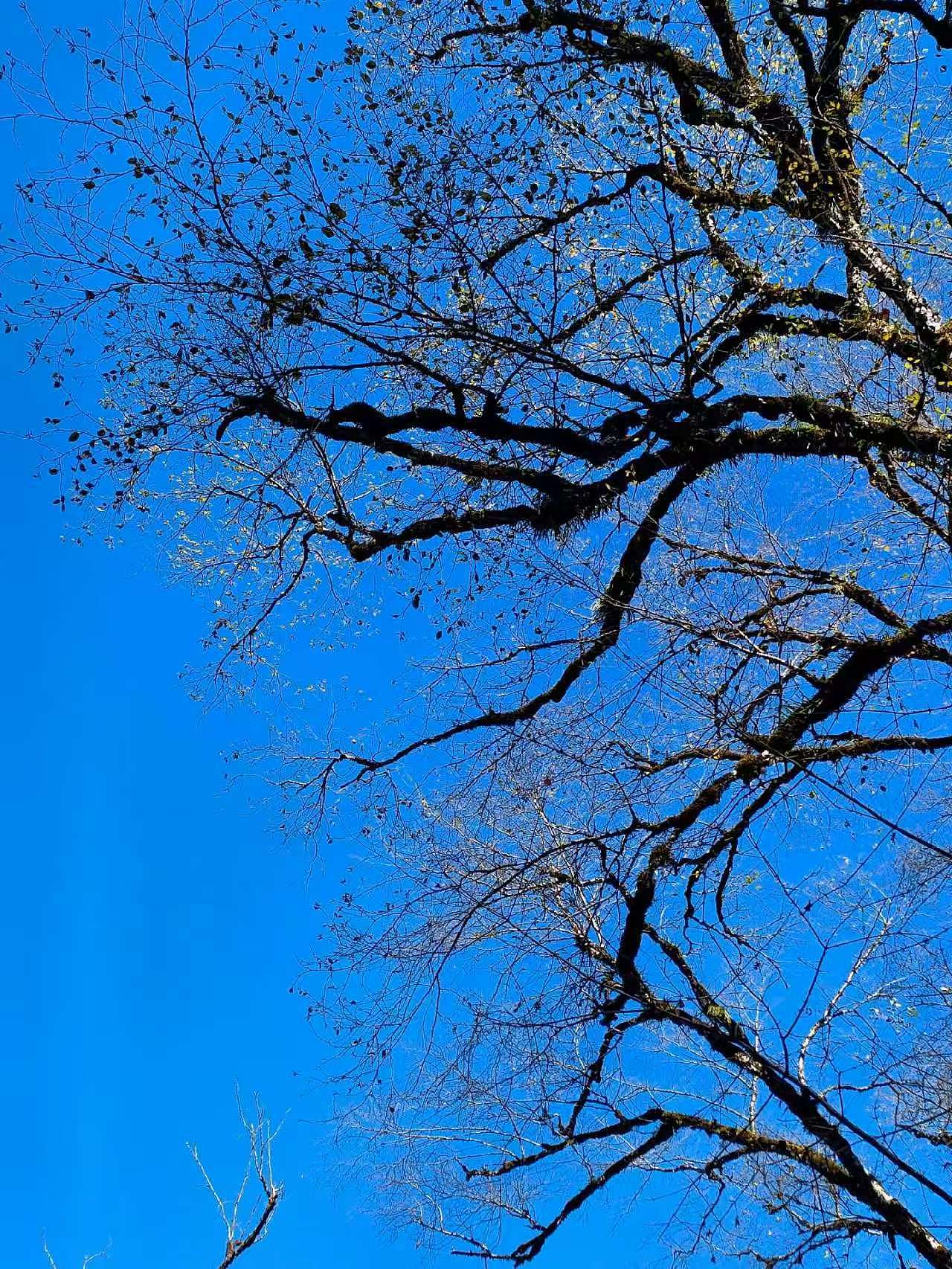 一些沿途的风景