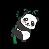 熊猫爱吃小竹子的头像