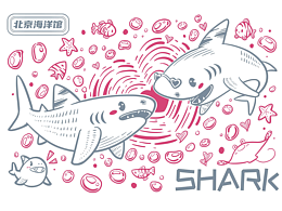北京海洋馆明信片