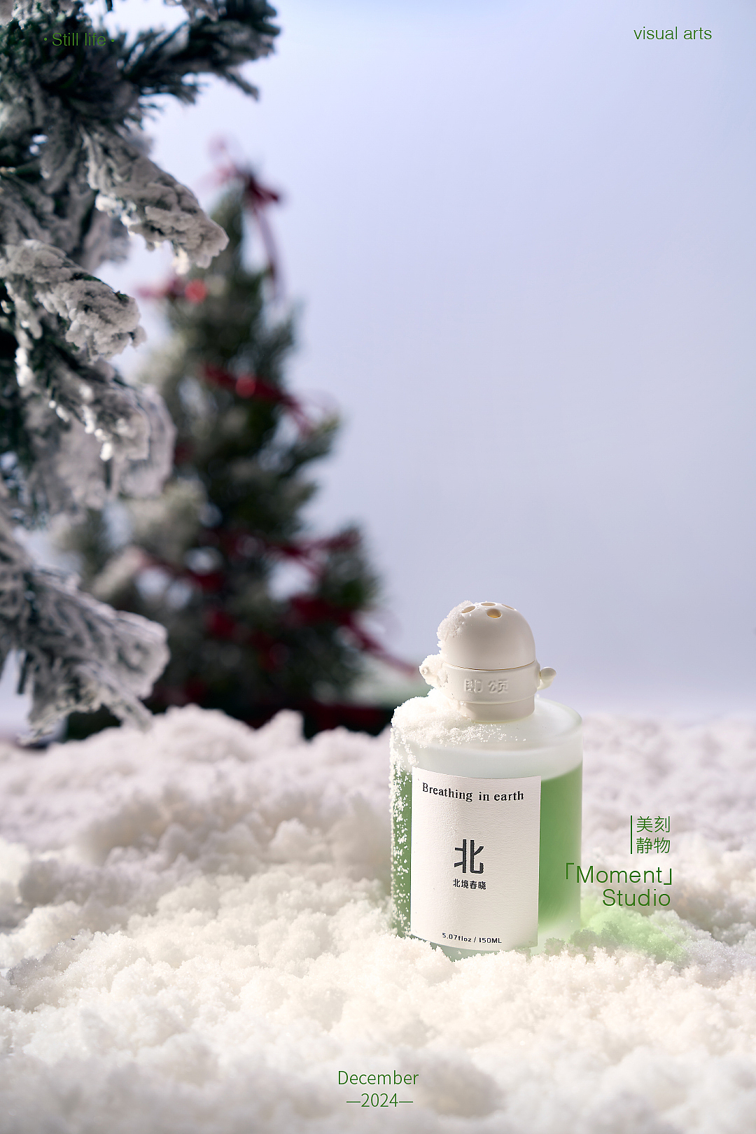 静物创作｜在北国提前过了圣诞节🎄