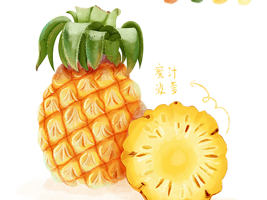 水果插画练习—菠萝