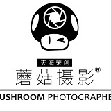 蘑菇视觉MUSHROOM的头像