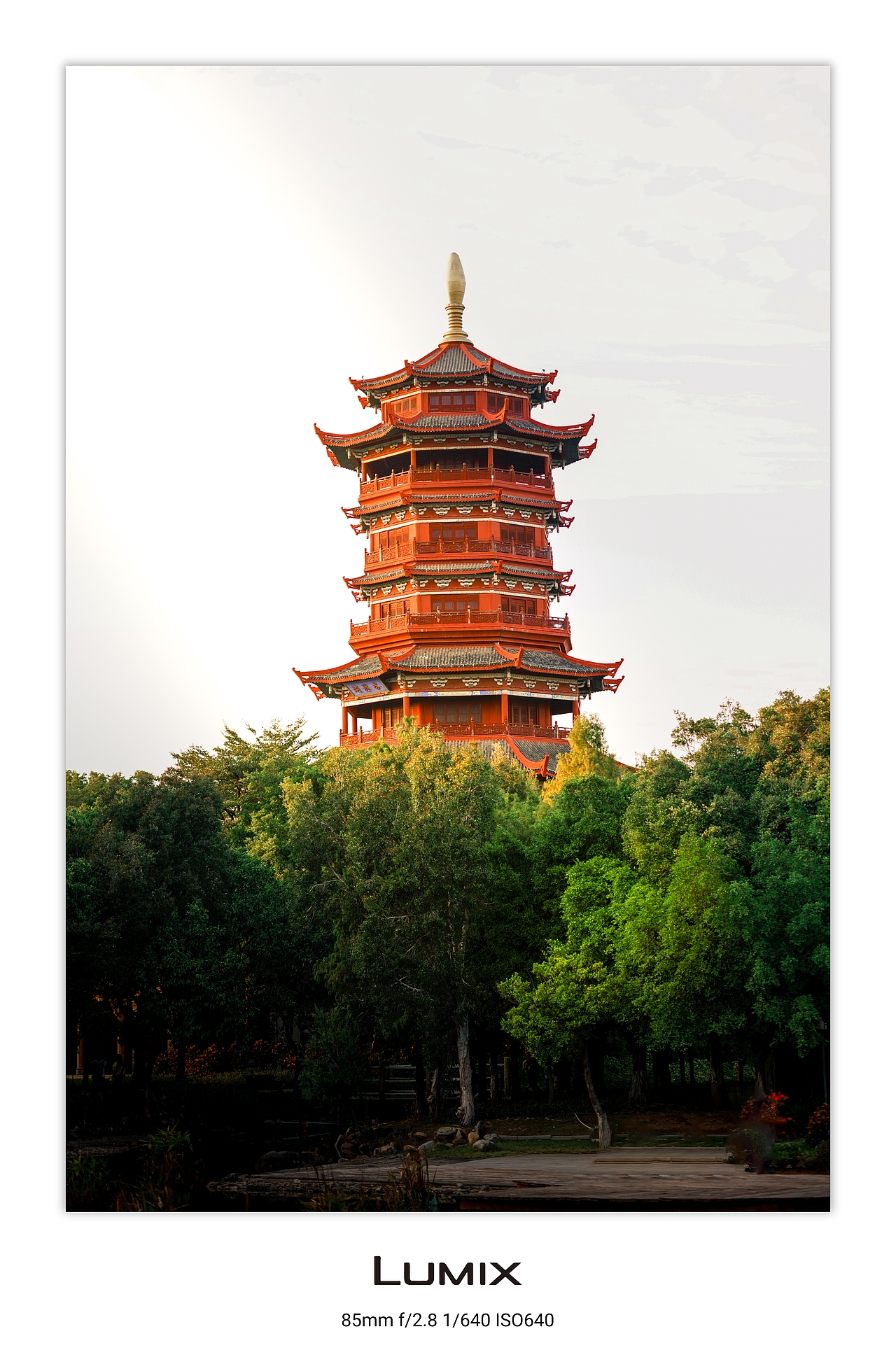 关于我在厦门园博苑所记录到的