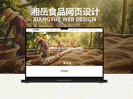 官网优化设计