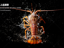 海鮮 大黃魚 澳洲龍蝦