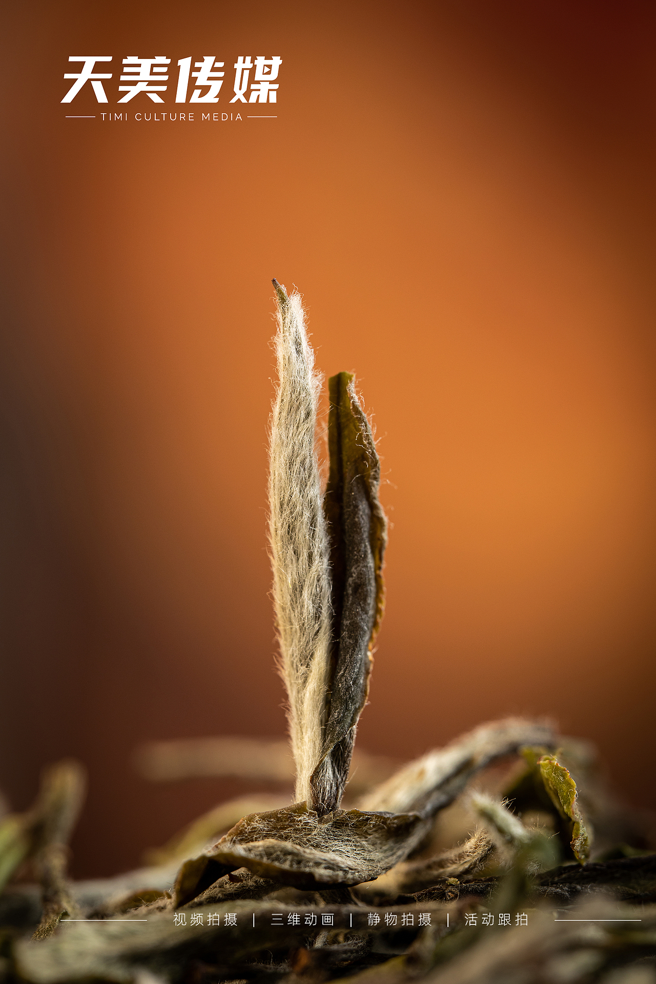 静物拍摄，茶叶产品拍摄，电商摄影