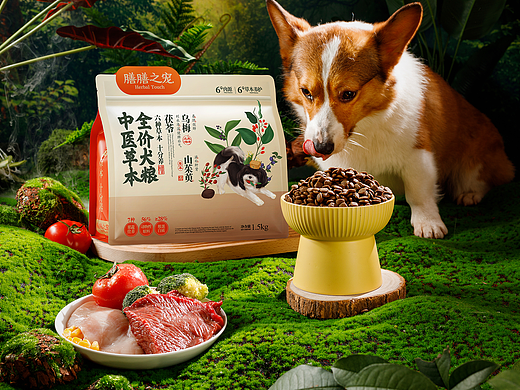 宠物粮(狗粮）拍摄