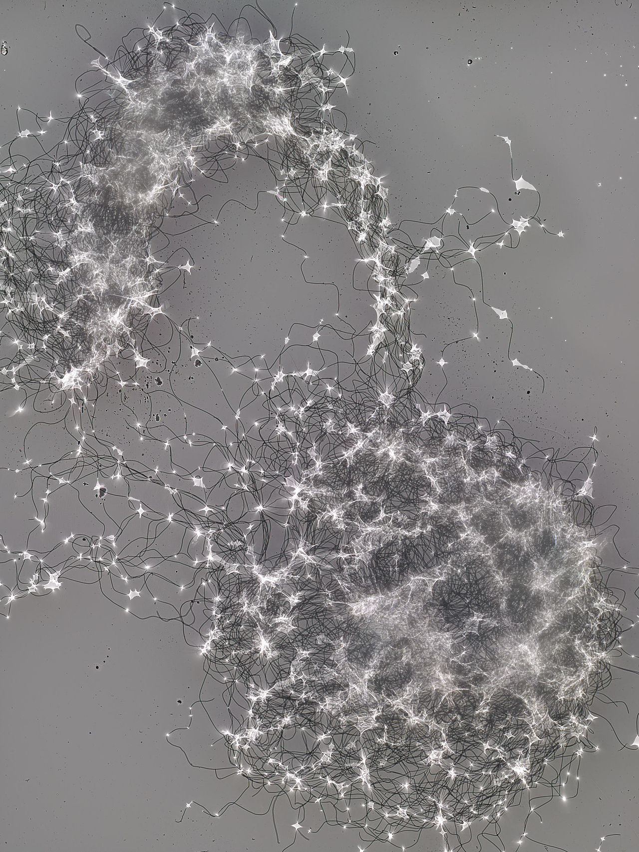 唯有光（拾）（图ZMzgxOTA2NDk2） - 实验艺术 - 站酷设计师禅宗喝水原创素材 - 站酷ZCOOL