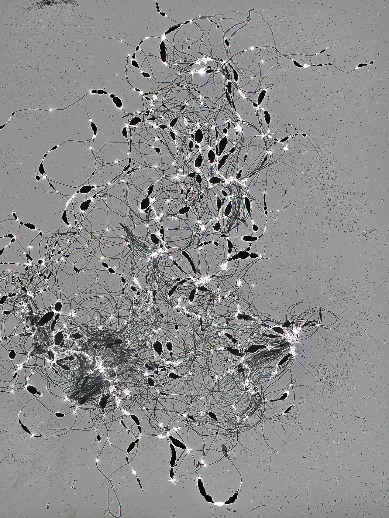 唯有光（拾）（图ZMzgxOTA2NTA4） - 实验艺术 - 站酷设计师禅宗喝水原创素材 - 站酷ZCOOL