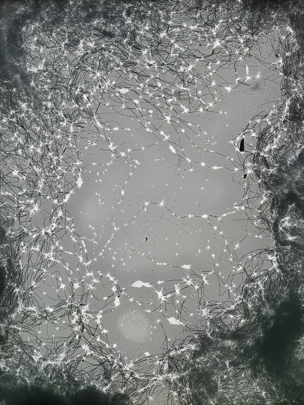 唯有光（拾）（图ZMzgxOTA2NTI0） - 实验艺术 - 站酷设计师禅宗喝水原创素材 - 站酷ZCOOL