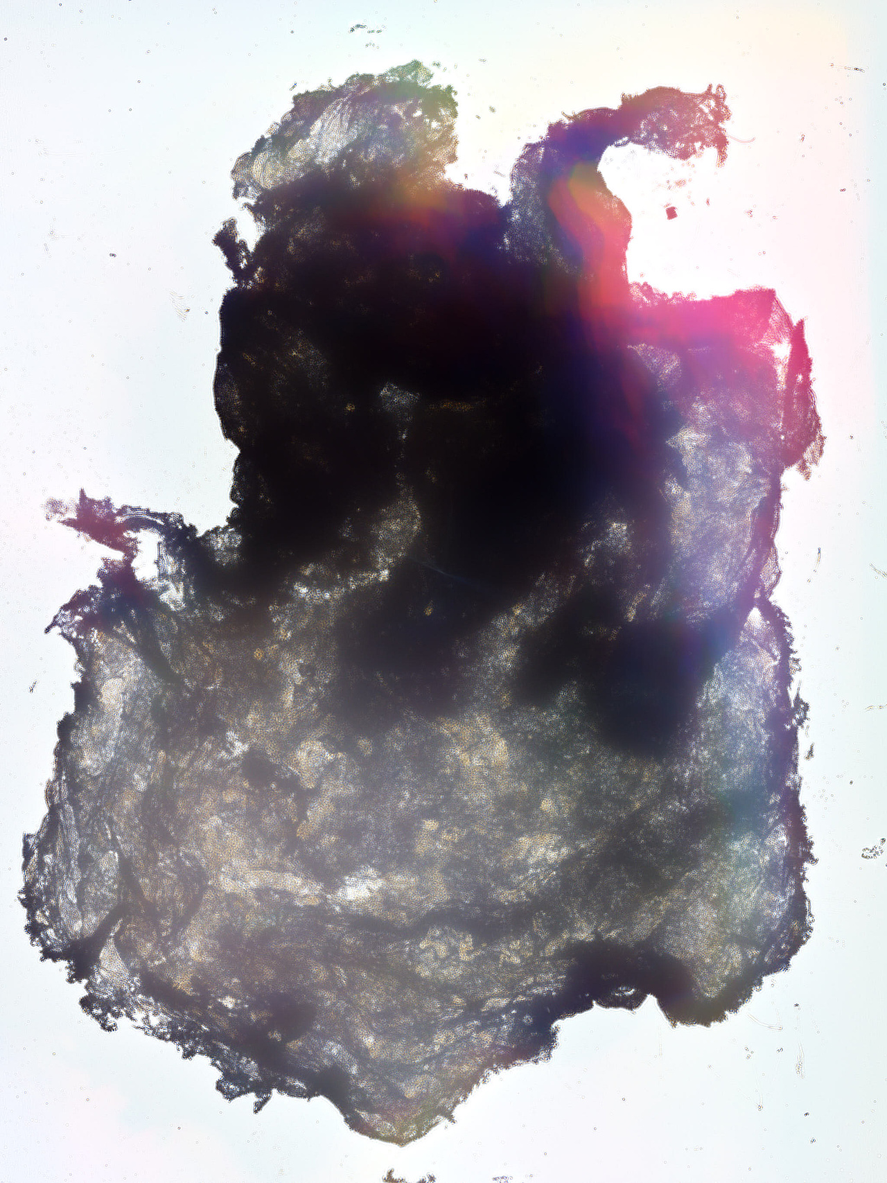 唯有光（拾）（图ZMzgxOTA2NDc2） - 实验艺术 - 站酷设计师禅宗喝水原创素材 - 站酷ZCOOL