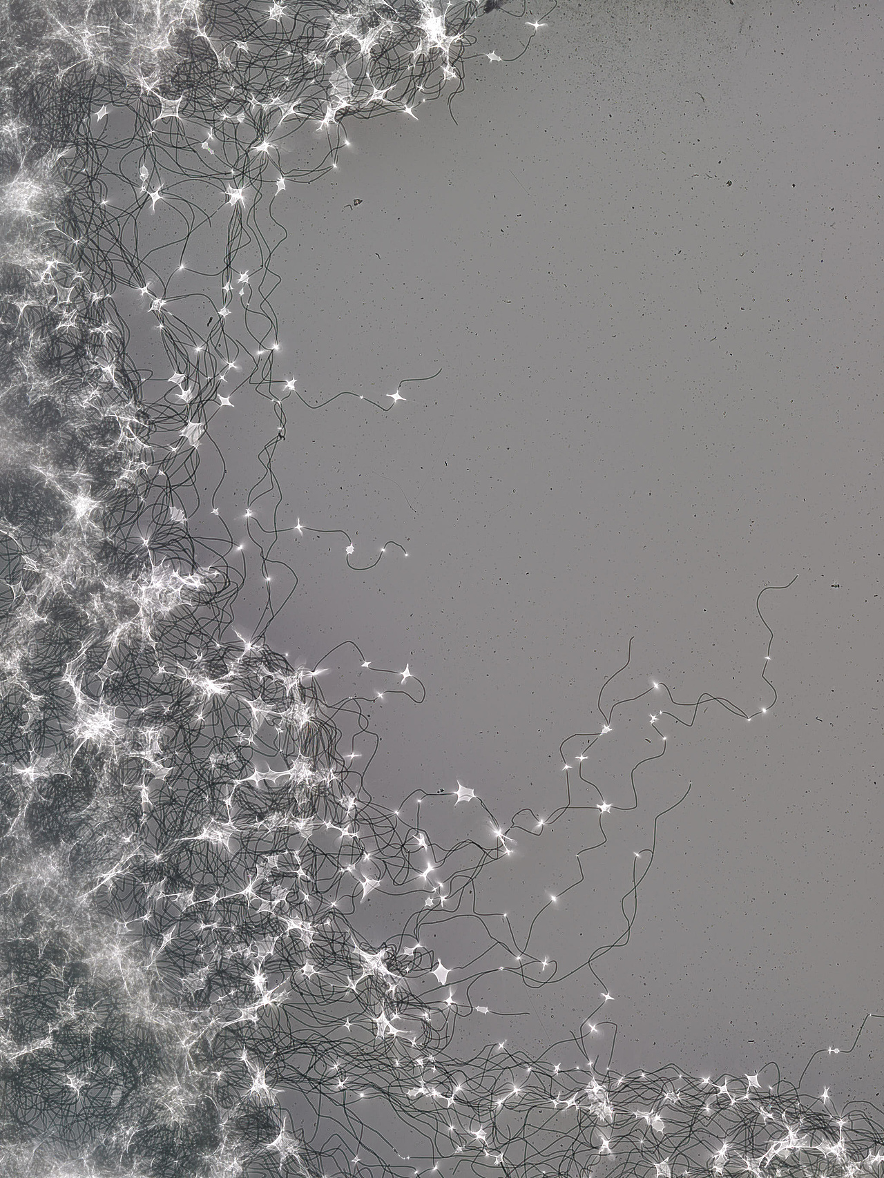 唯有光（拾）（图ZMzgxOTA2NTIw） - 实验艺术 - 站酷设计师禅宗喝水原创素材 - 站酷ZCOOL