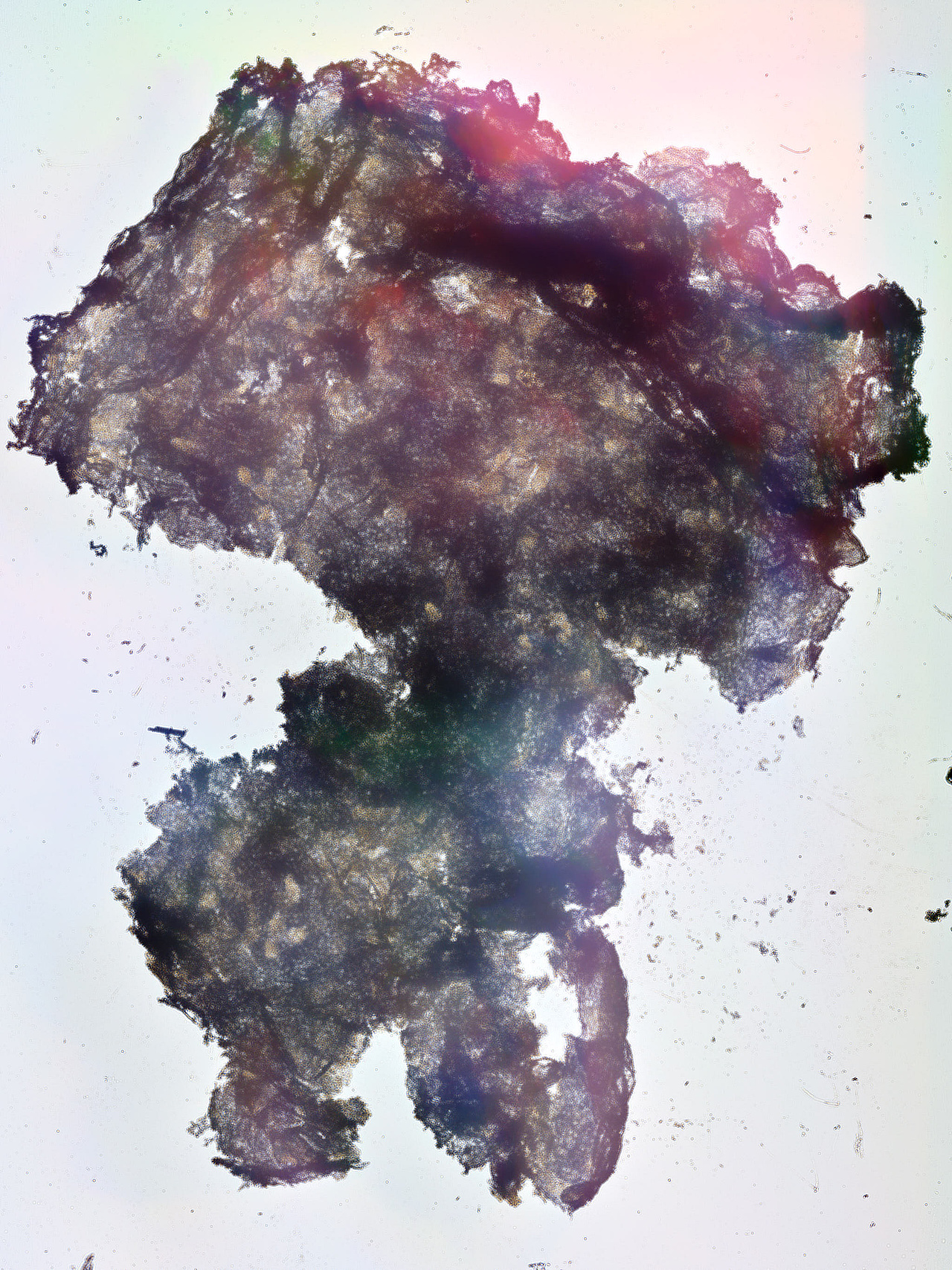 唯有光（拾）（图ZMzgxOTA2NDcy） - 实验艺术 - 站酷设计师禅宗喝水原创素材 - 站酷ZCOOL