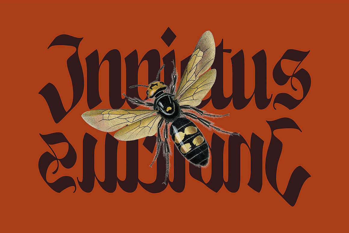 中世纪复古神秘哥特暗黑金属摇滚海报封面标题英文字体