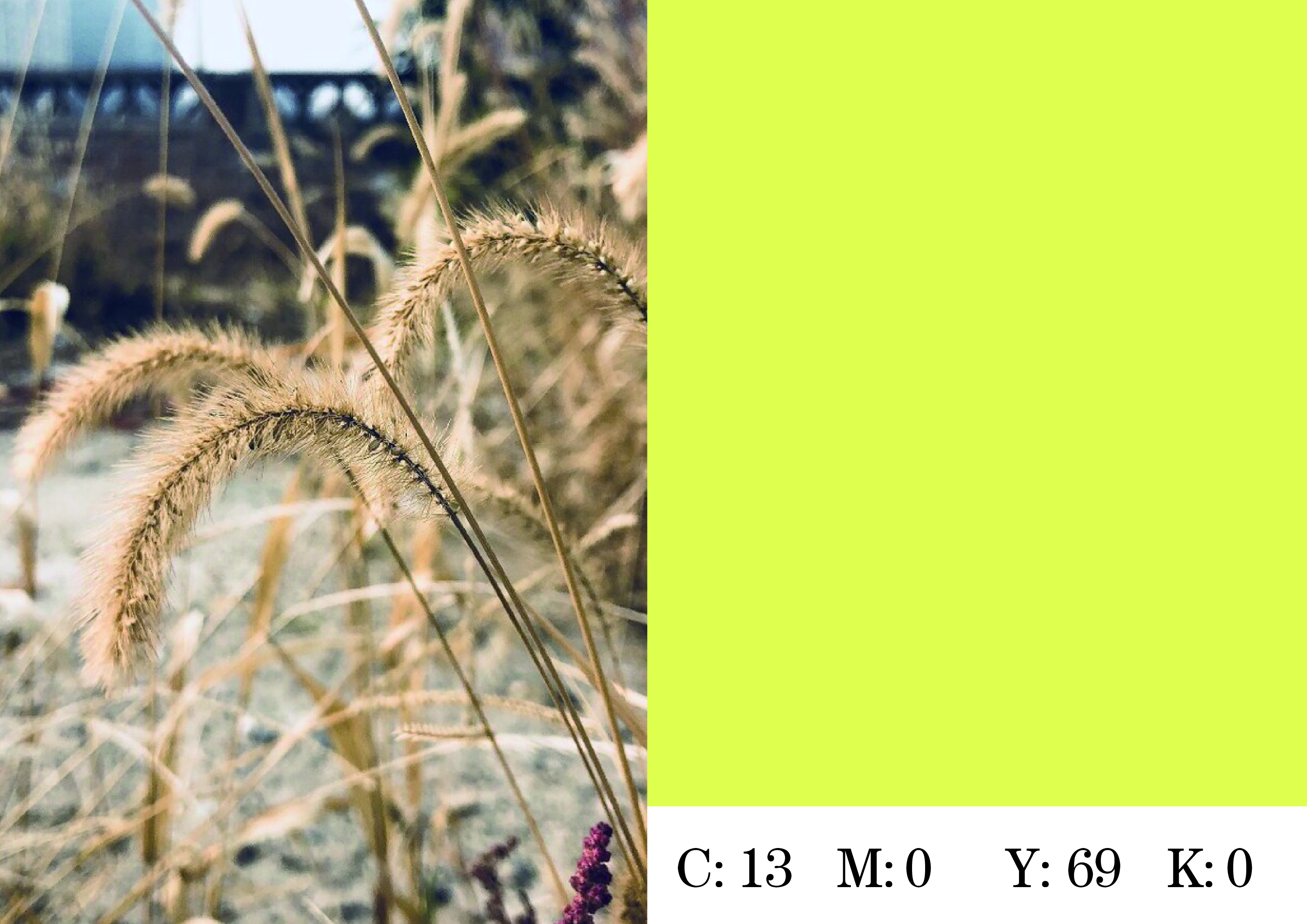 何谓色彩美学?何谓色彩通识?何谓中国颜色?(二)(图ZMTQ5Njk2ODA=) - 书籍 - 站酷设计师钟意创作原创素材 - 站酷ZCOOL