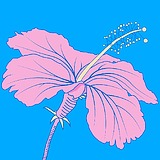 花的包装装饰版画（悬浮侧栏作者头像） - 原创素材 - 站酷设计师千桃岁岁原创素材 - 站酷ZCOOL