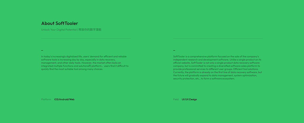 SoftTooler官网|项目总结