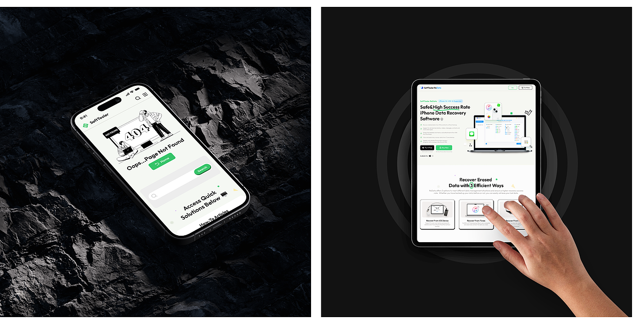 SoftTooler官网|项目总结