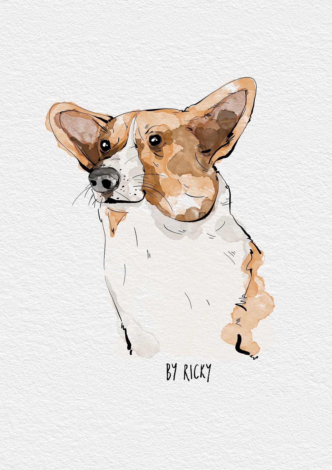 宠物水彩插画