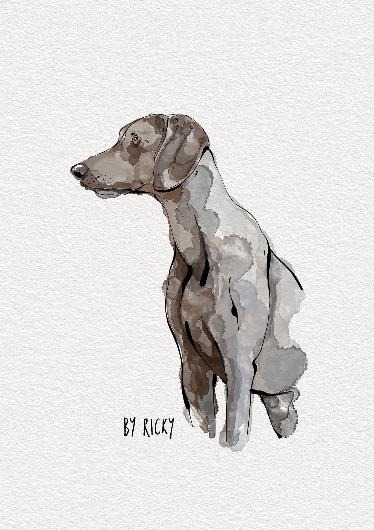 宠物水彩插画