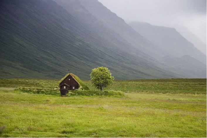 绿电交易市场迎来蓬勃发展，中国能源转型提速（图ZMTQ5NzAyMDQ=） - 观点 - 站酷设计师绿能数科原创素材 - 站酷ZCOOL