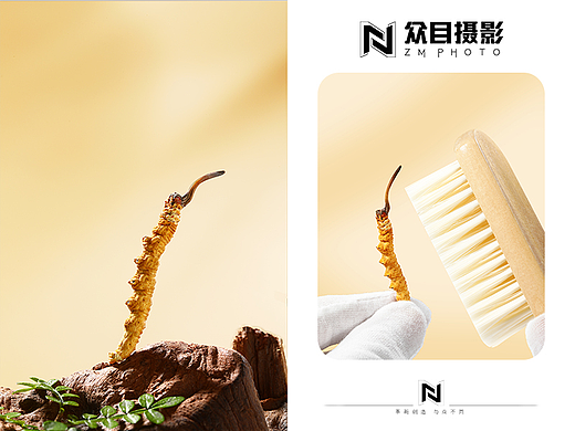 虫草| 美食摄影 x 众目视觉