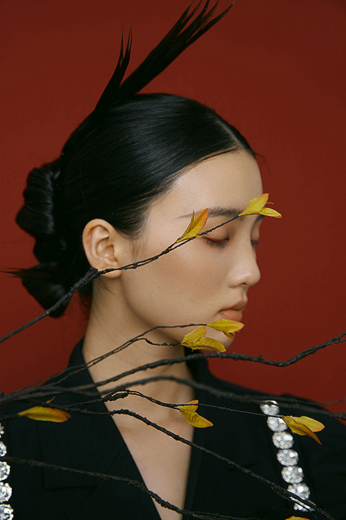 摄影作品|新中式