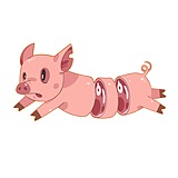 mrbigmiao的头像