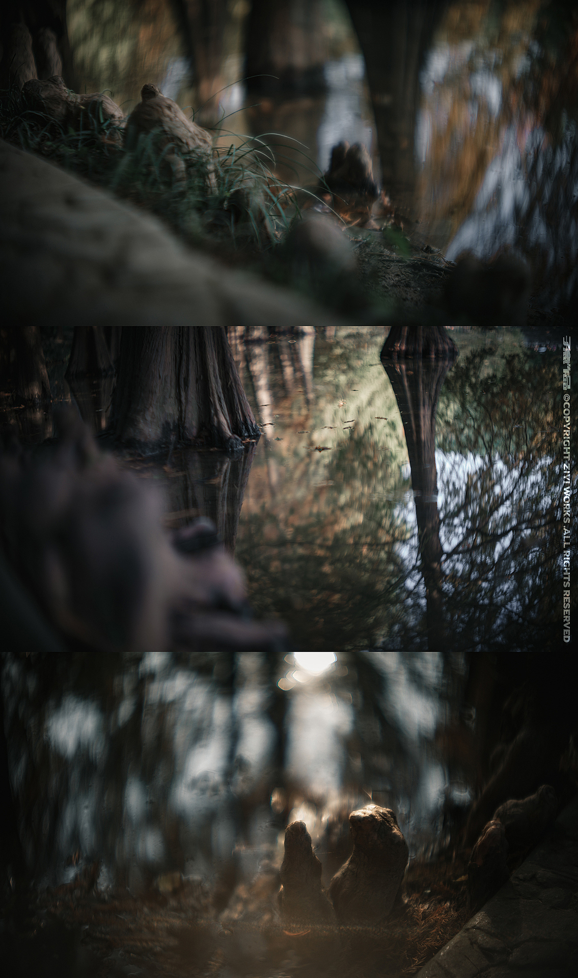 《燕雀已秋》（图ZMzgxOTk0MTc2） - 其他摄影 - 站酷设计师摄影师子意原创素材 - 站酷ZCOOL