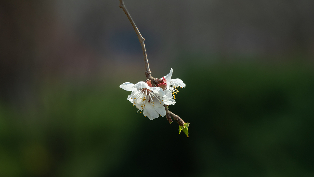 2024年度总结~~~~（图ZMzgyMDAxNzg0） - 人文/纪实摄影 - 站酷设计师摄影雷十三原创素材 - 站酷ZCOOL