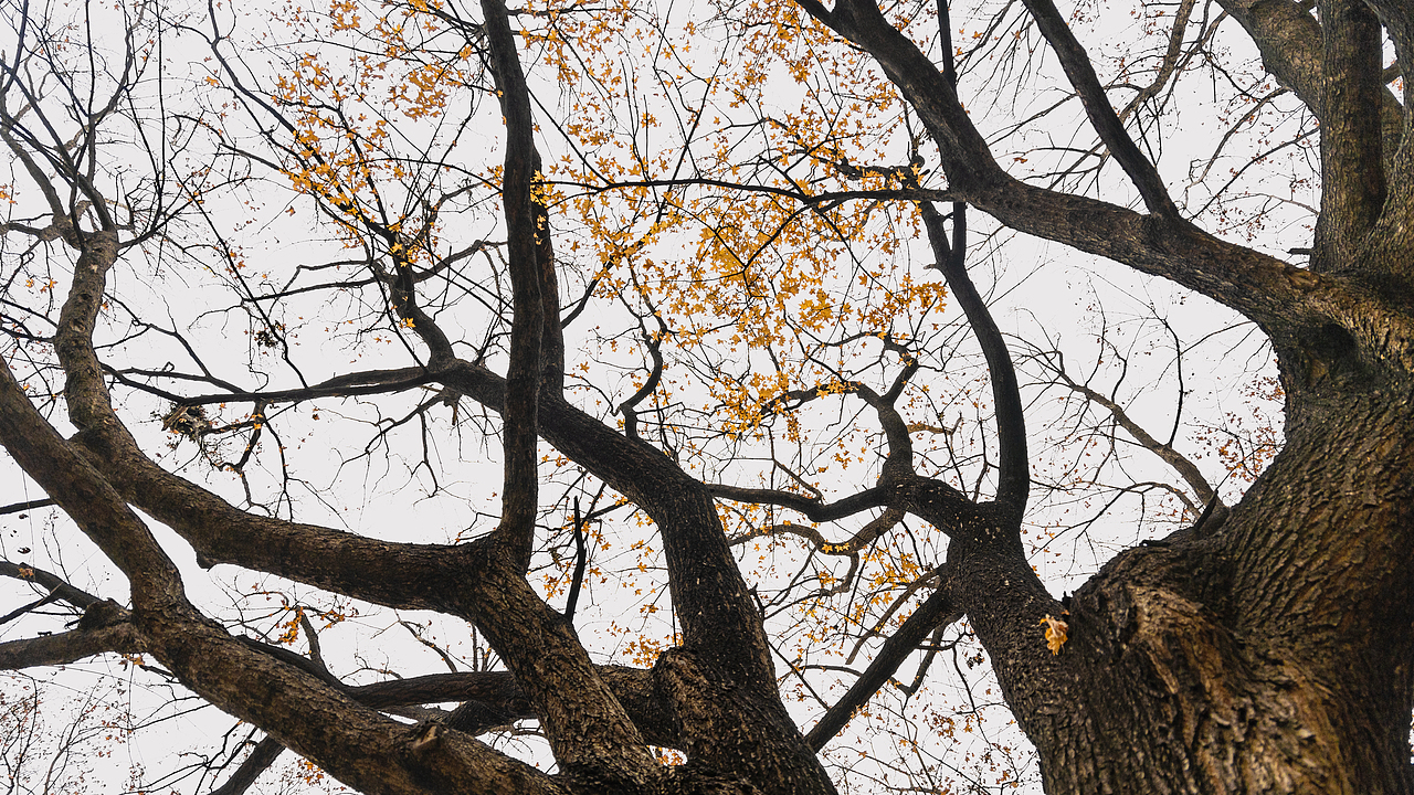 2024年度总结~~~~（图ZMzgyMDAyMjcy） - 人文/纪实摄影 - 站酷设计师摄影雷十三原创素材 - 站酷ZCOOL