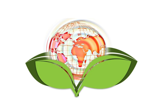 2024年中国各省份碳相关投资分析：区域差异与未来趋势（图ZMTQ5NzE5OTI=） - 观点 - 站酷设计师绿能数科原创素材 - 站酷ZCOOL